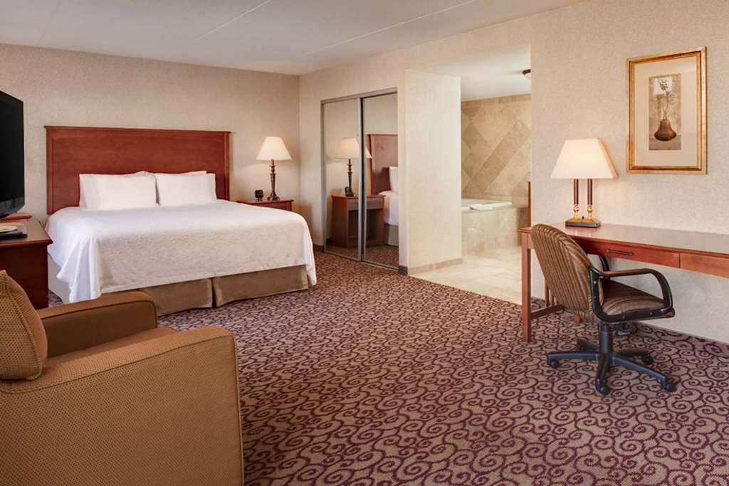 Hampton Inn Dubuque Rum bild